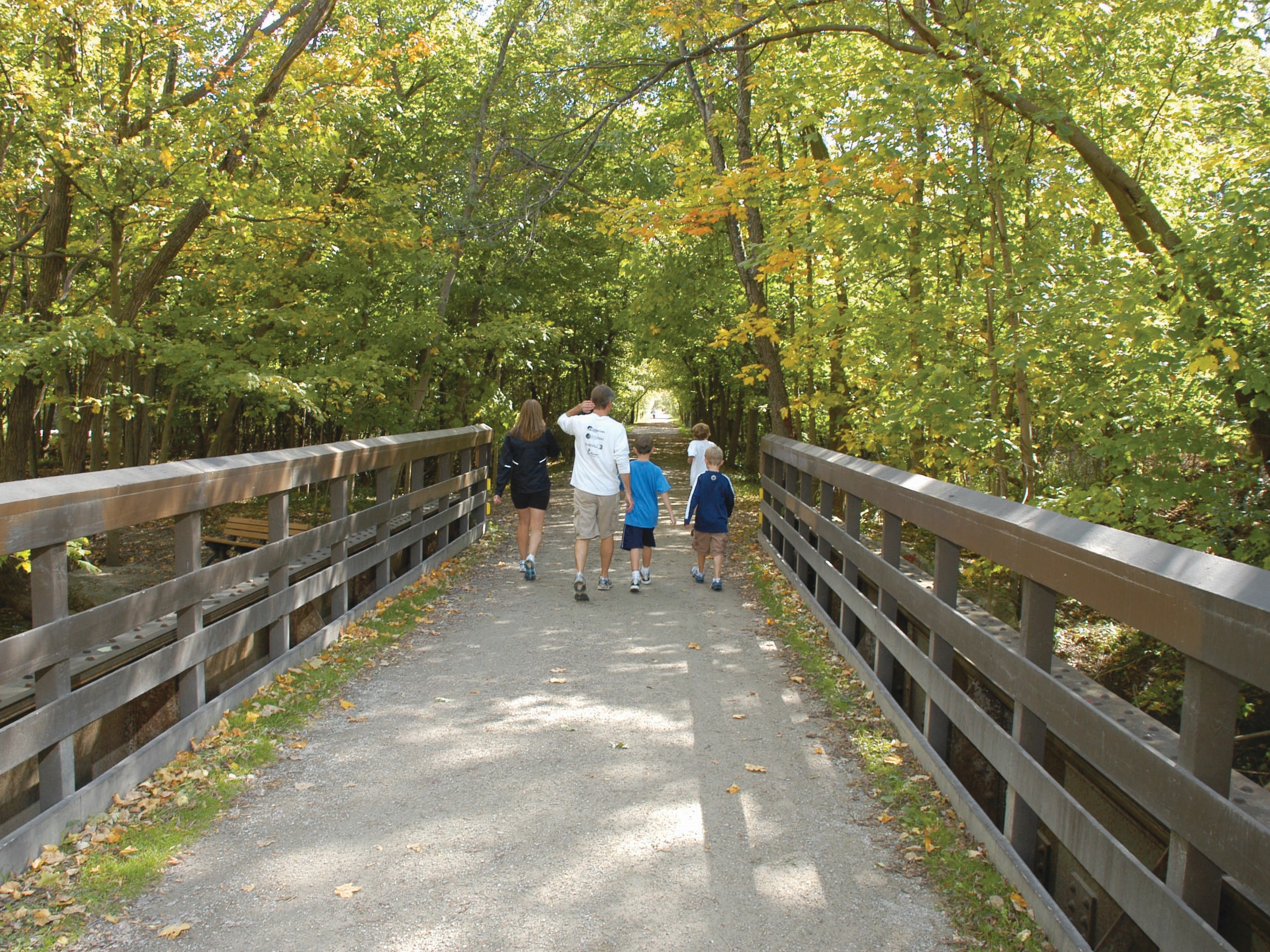 four people walking away from camera over boardwalk in the woods
