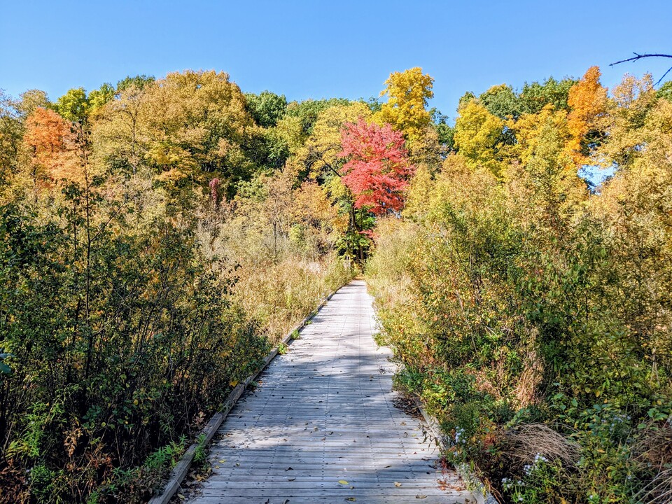 Input: Zone 2 - Nature Trails | Oakland County Parks Co-Creation Lab