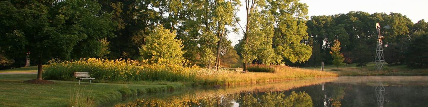Lakefront in golden light with green trees and two benches along the lake