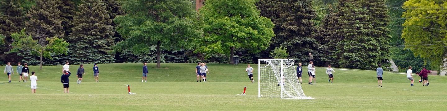 lots of people playing soccer on a grass field with trees in the background