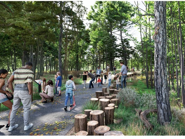 Accessible pathway through the woods with several community members recreating 
