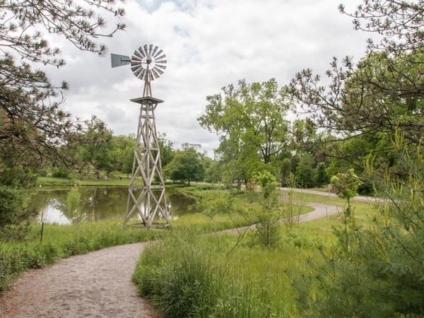 Image of a gravel path winding through green plants with a lake and windmill in the background