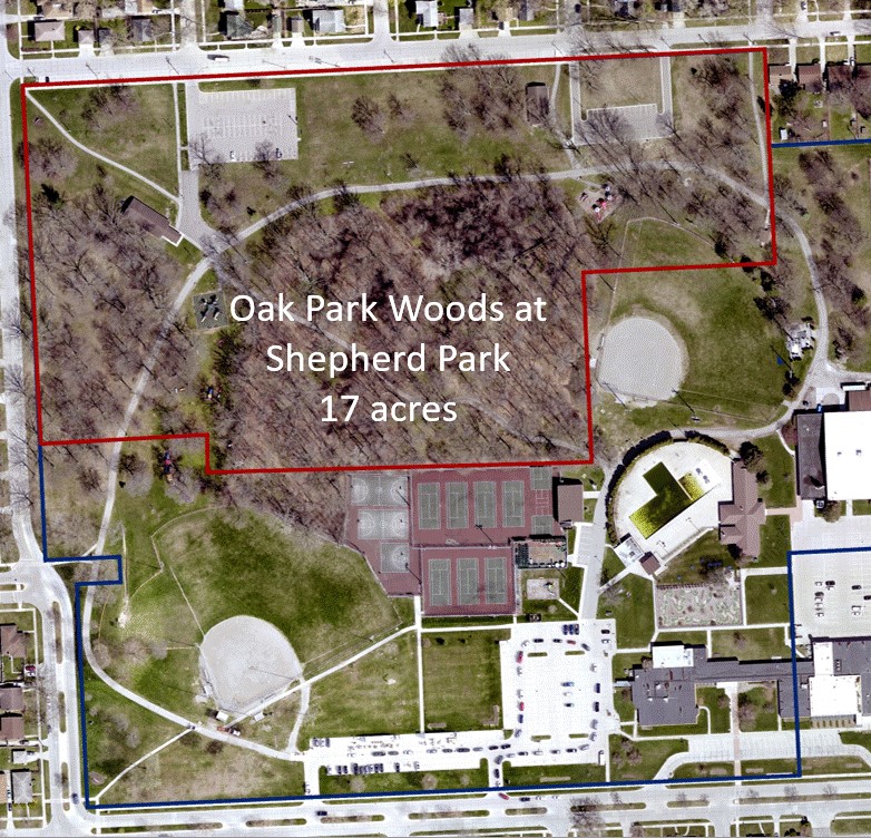 satellite image of the park showing the Oak Park Woods section in the north