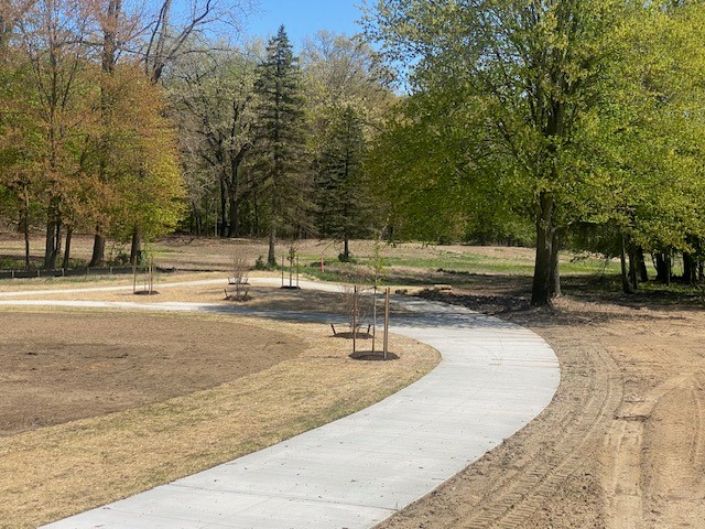 a paved path under construction with newly planted trees alongside